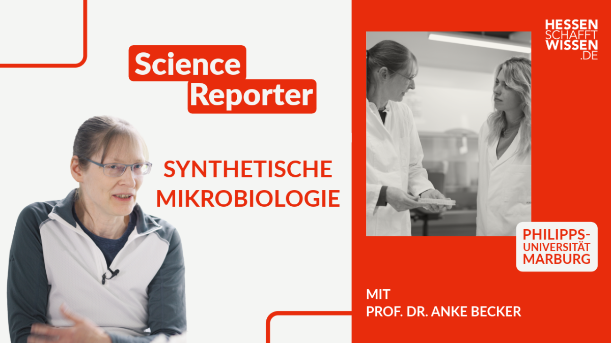 hsw_sr_becker_synthetische_mikrobiologie_thumbnail_v0