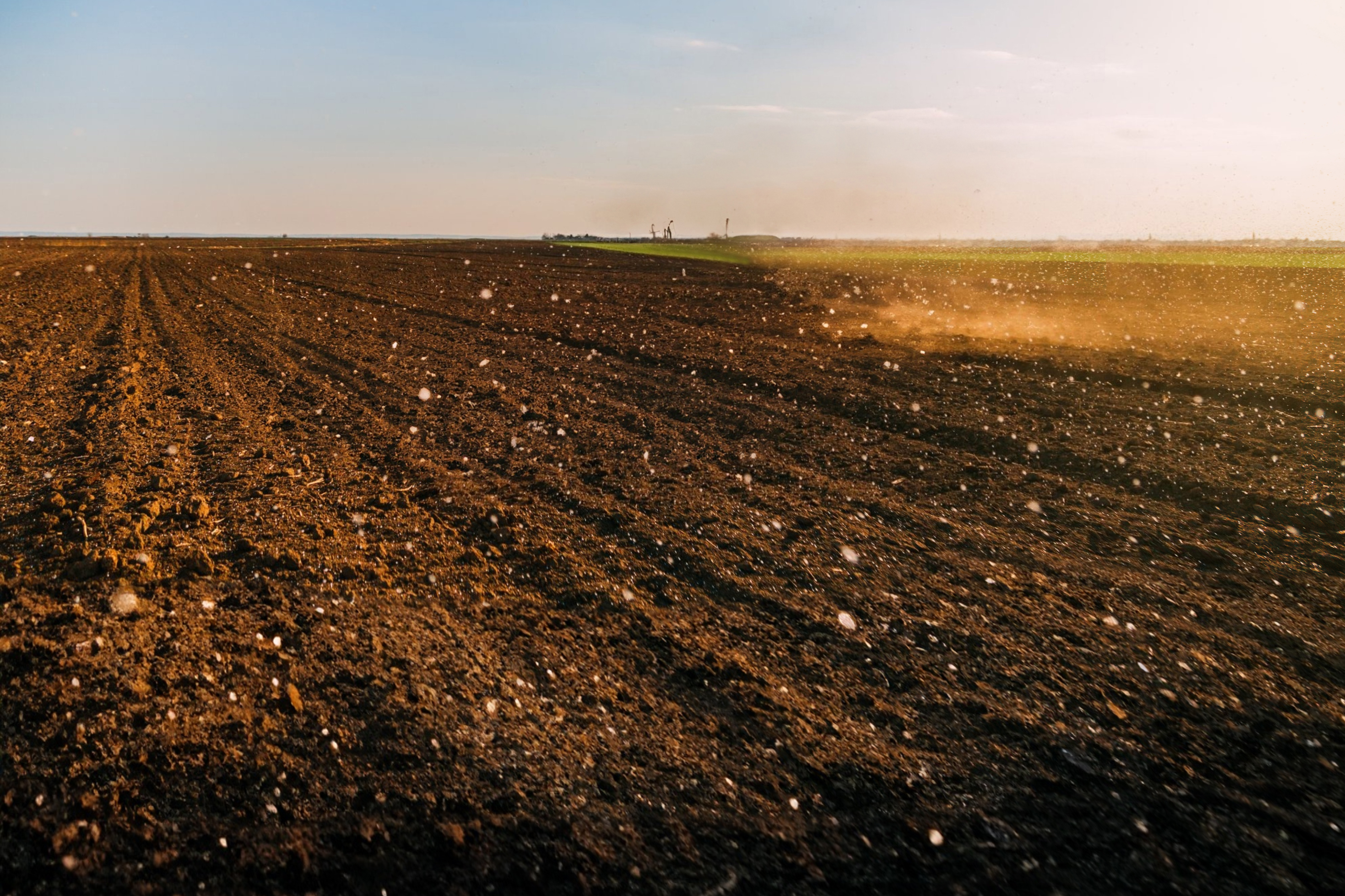 Brachliegendes Feld